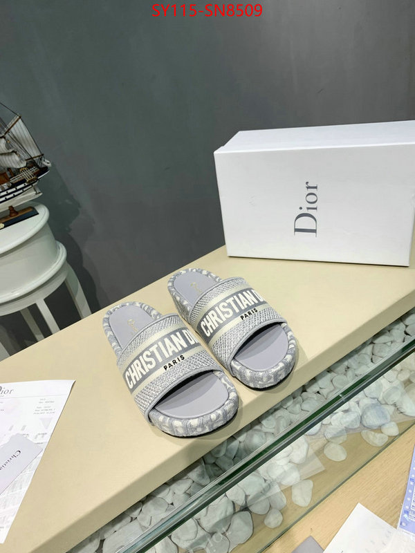 Women Shoes-Dior,sell online , ID: SN8509,$: 115USD