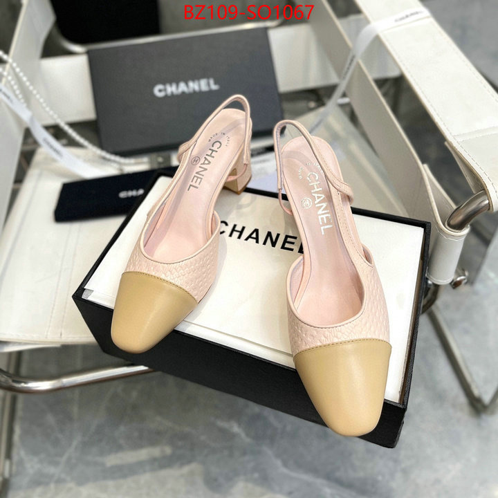 Women Shoes-Chanel,brand designer replica , ID: SO1067,$: 109USD