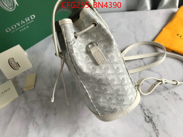 Goyard Bags(TOP)-Backpack-,ID: BN4390,$: 255USD