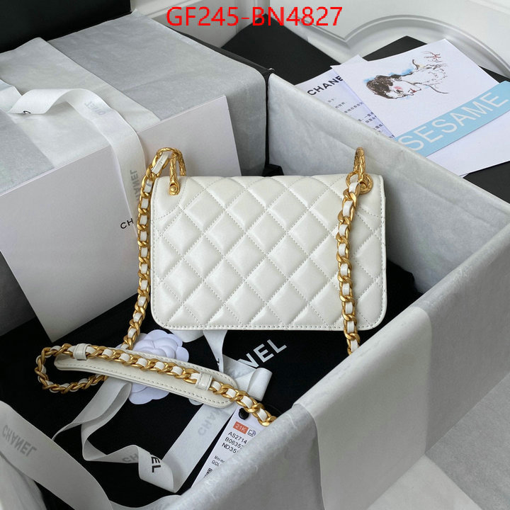 Chanel Bags(TOP)-Diagonal-,ID: BN4827,$: 245USD