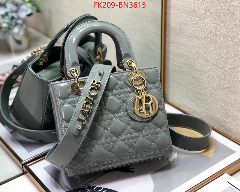 Dior Bags(TOP)-Lady-,ID: BN3615,$: 209USD