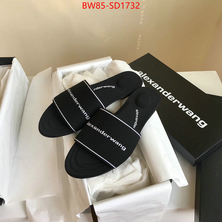 Women Shoes-Alexander Wang,mirror copy luxury , ID: SD1732,$: 85USD