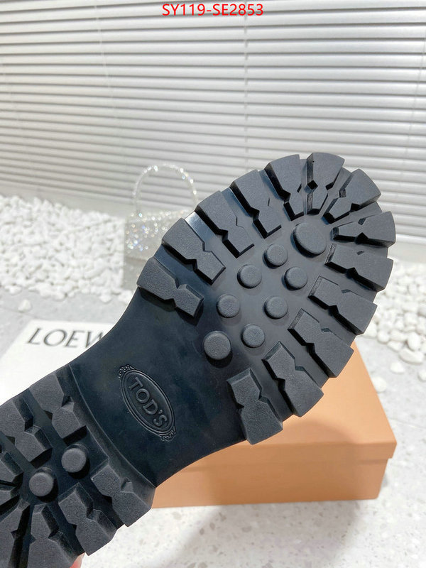 Women Shoes-Tods,top fake designer ,high quality replica designer , ID: SE2853,$: 119USD