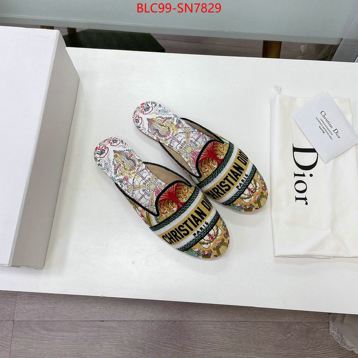 Women Shoes-Dior,website to buy replica , ID: SN7829,$: 99USD