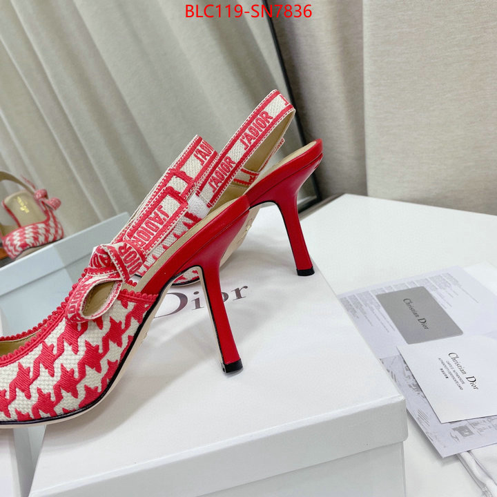 Women Shoes-Dior,what's the best to buy replica , ID: SN7836,$: 119USD