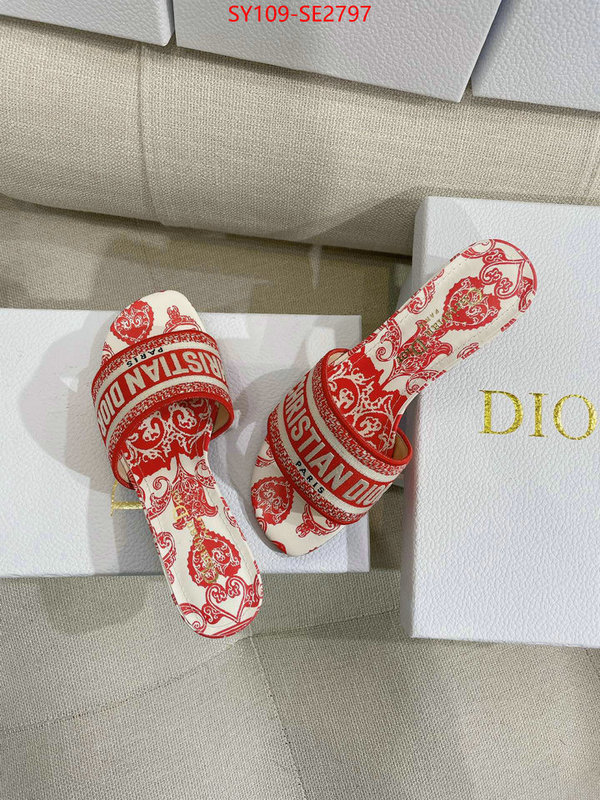 Women Shoes-Dior,shop the best high authentic quality replica , ID: SE2797,$: 109USD