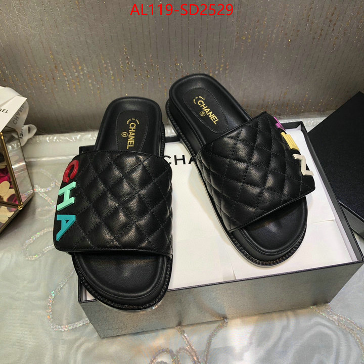 Women Shoes-Chanel,replicas , ID: SD2529,$: 119USD