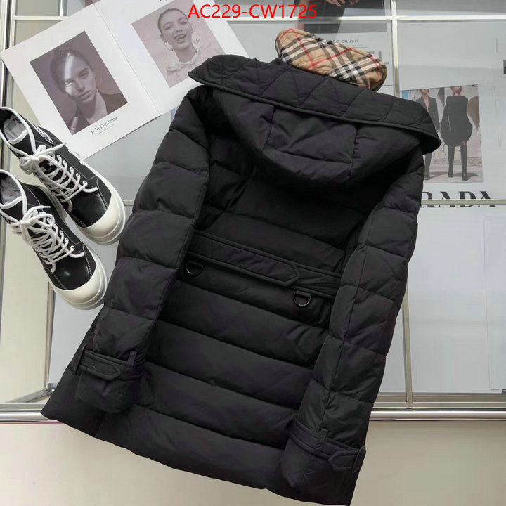 Down jacket Women-Burberry,how to start selling replica , ID: CW1725,$: 229USD