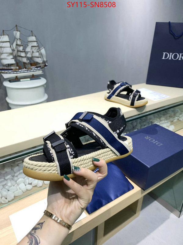 Women Shoes-Dior,buy luxury 2023 , ID: SN8508,$: 115USD