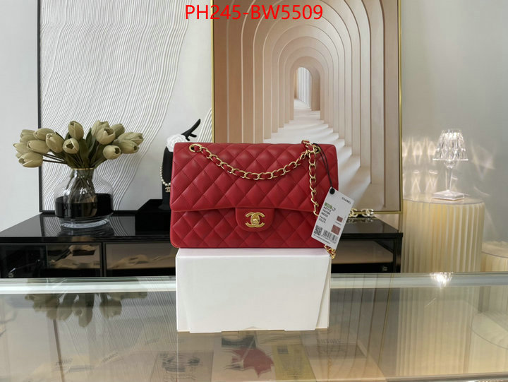 Chanel Bags(TOP)-Diagonal-,ID: BW5509,$: 245USD