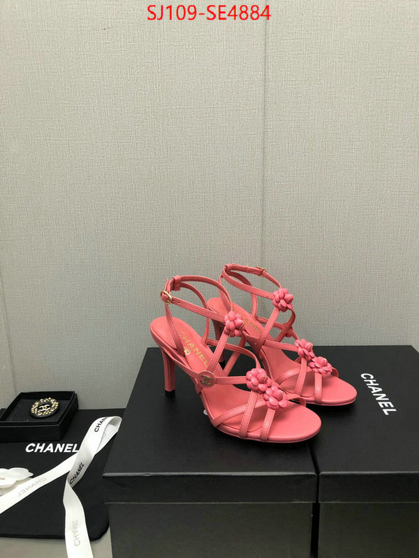 Women Shoes-Chanel,same as original , ID: SE4884,$: 109USD