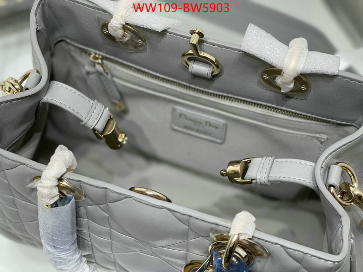 Dior Bags(4A)-Other Style-,ID: BW5903,$: 109USD