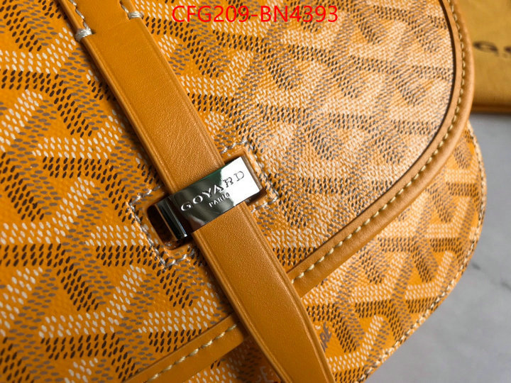 Goyard Bags(TOP)-Diagonal-,ID: BN4393,$: 209USD