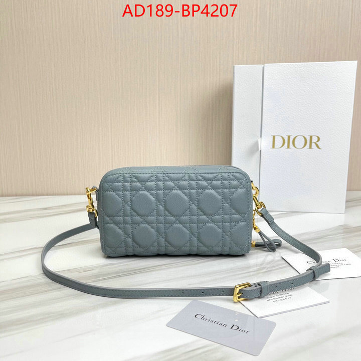 Dior Bags(TOP)-Other Style-,ID: BP4207,$: 189USD