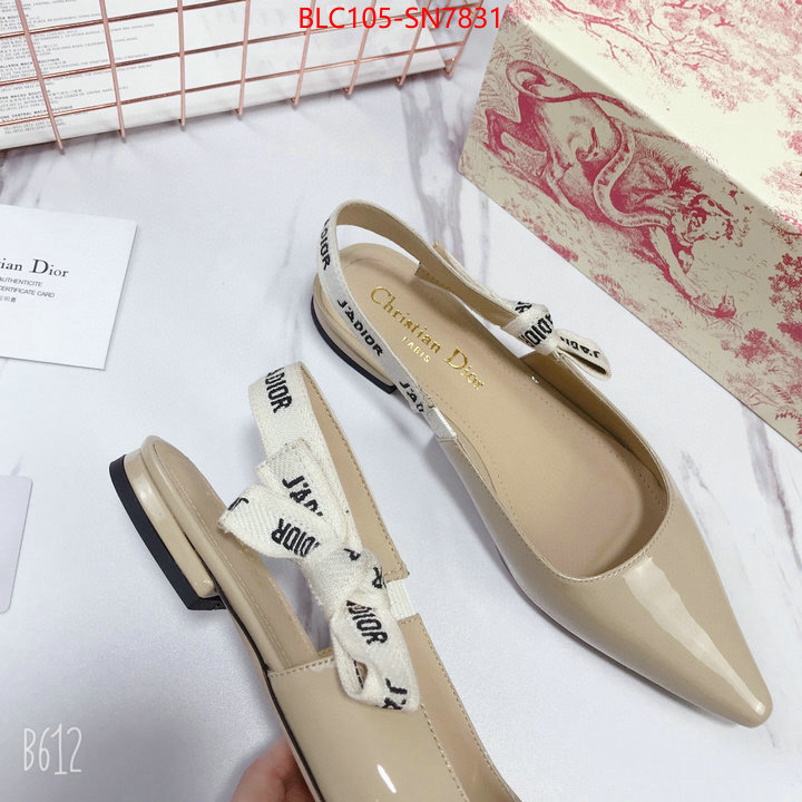 Women Shoes-Dior,aaaaa customize , ID: SN7831,$: 105USD