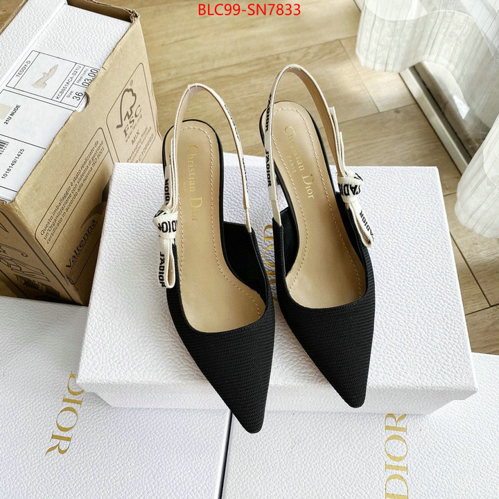 Women Shoes-Dior,replica 2023 perfect luxury , ID: SN7833,$: 99USD