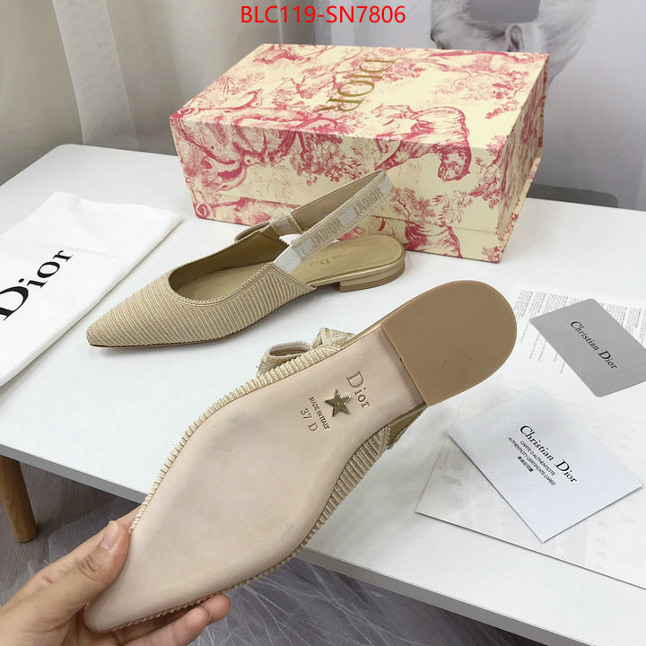 Women Shoes-Dior,how to find replica shop , ID: SN7806,$: 119USD