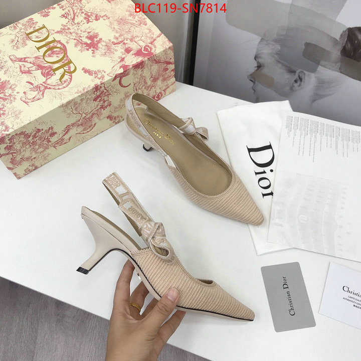 Women Shoes-Dior,how to find replica shop , ID: SN7814,$: 119USD