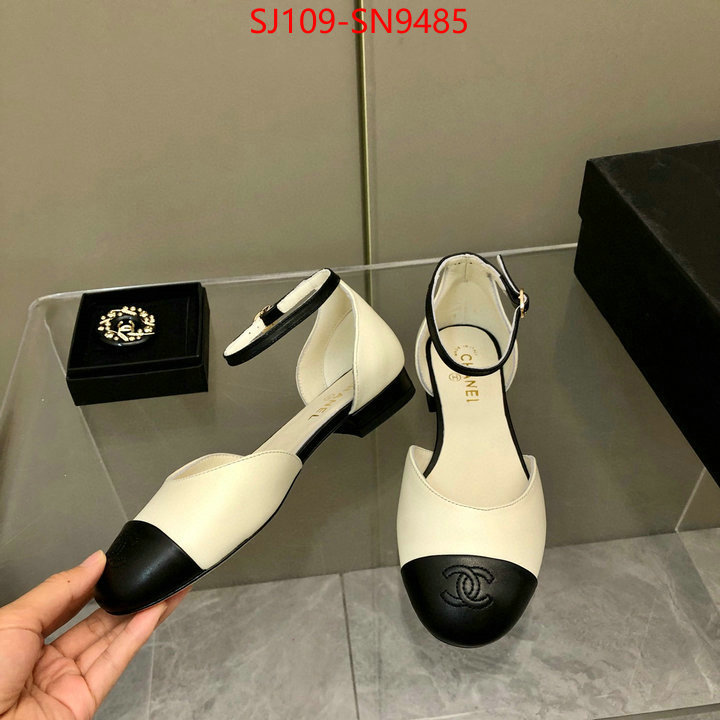 Women Shoes-Chanel,perfect replica , ID: SN9485,$: 109USD