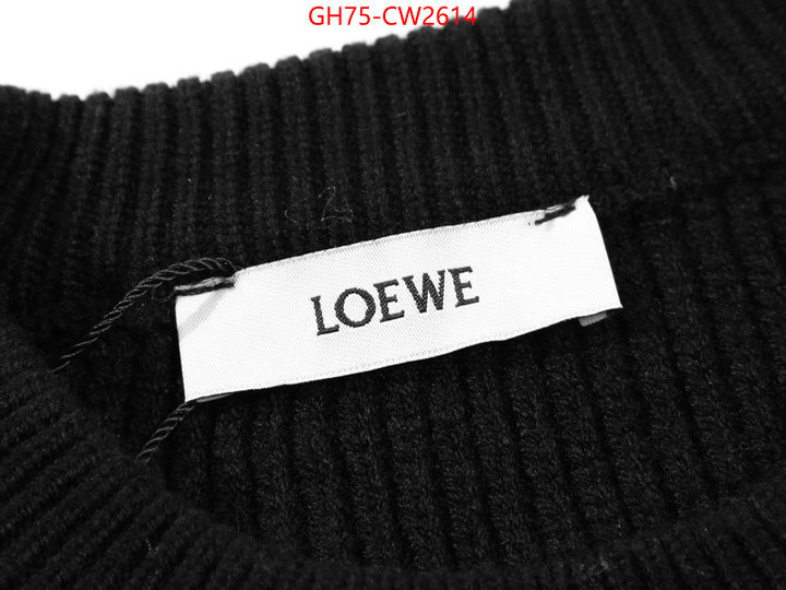 Clothing-Loewe,top quality replica , ID: CW2614,$: 75USD