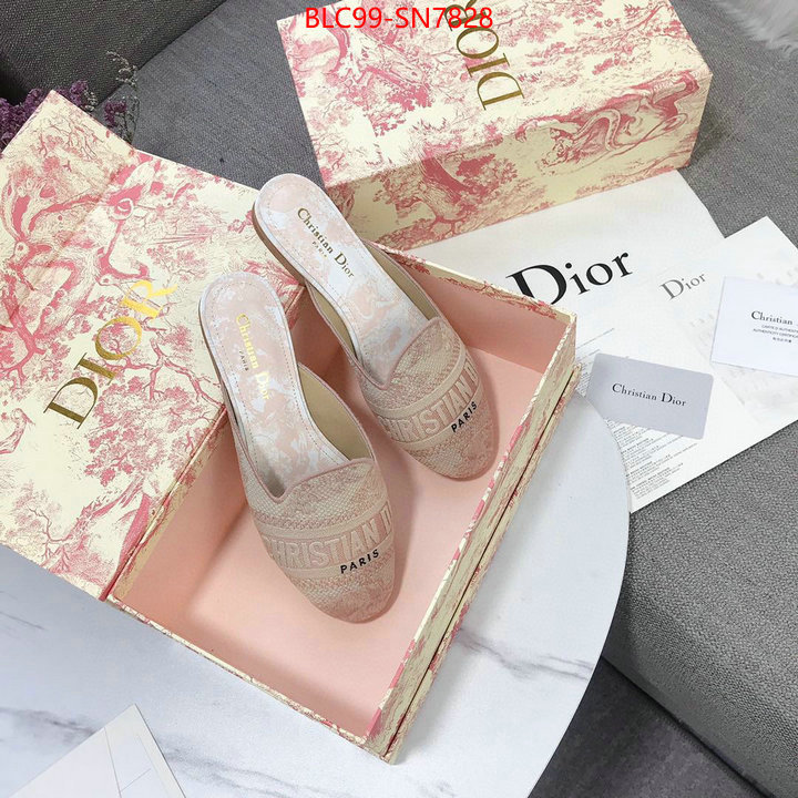 Women Shoes-Dior,1:1 replica wholesale , ID: SN7828,$: 99USD