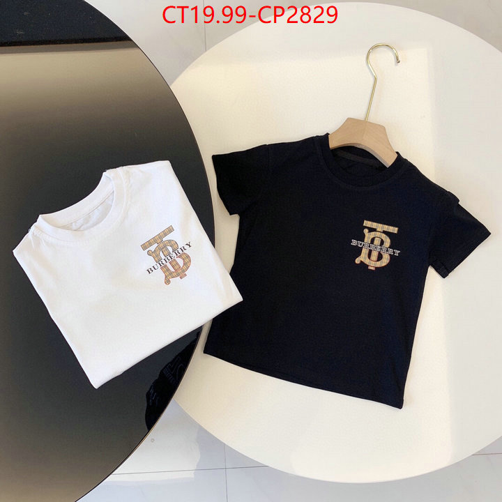 Kids clothing-Burberry,replica sale online , ID: CP2829,