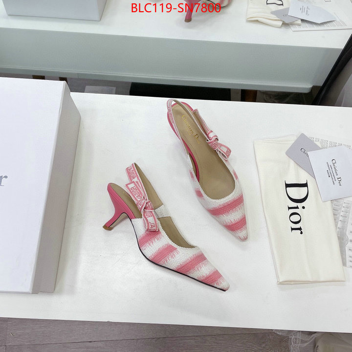 Women Shoes-Dior,wholesale , ID: SN7800,$: 119USD