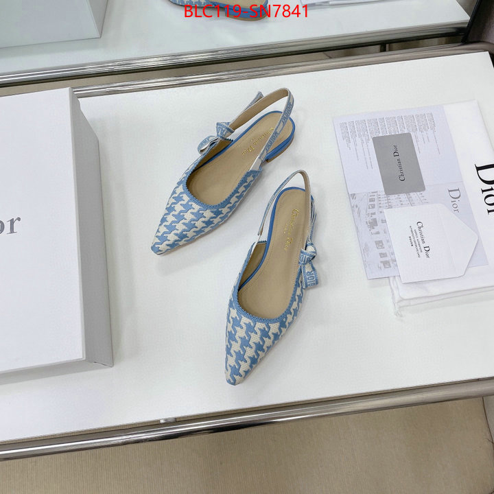 Women Shoes-Dior,outlet 1:1 replica , ID: SN7841,$: 119USD