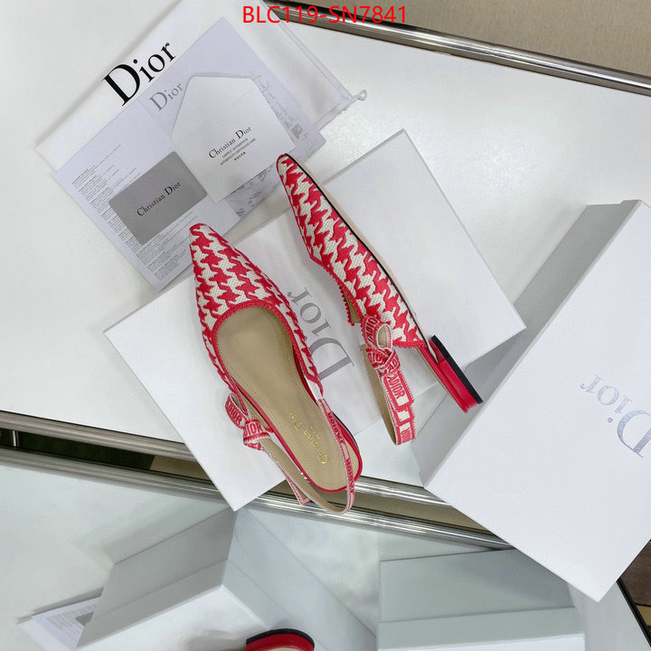 Women Shoes-Dior,outlet 1:1 replica , ID: SN7841,$: 119USD