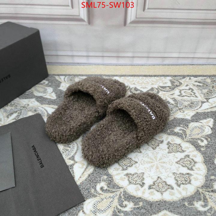 Men Shoes-Balenciaga,where can you buy a replica , ID: SW103,$: 75USD