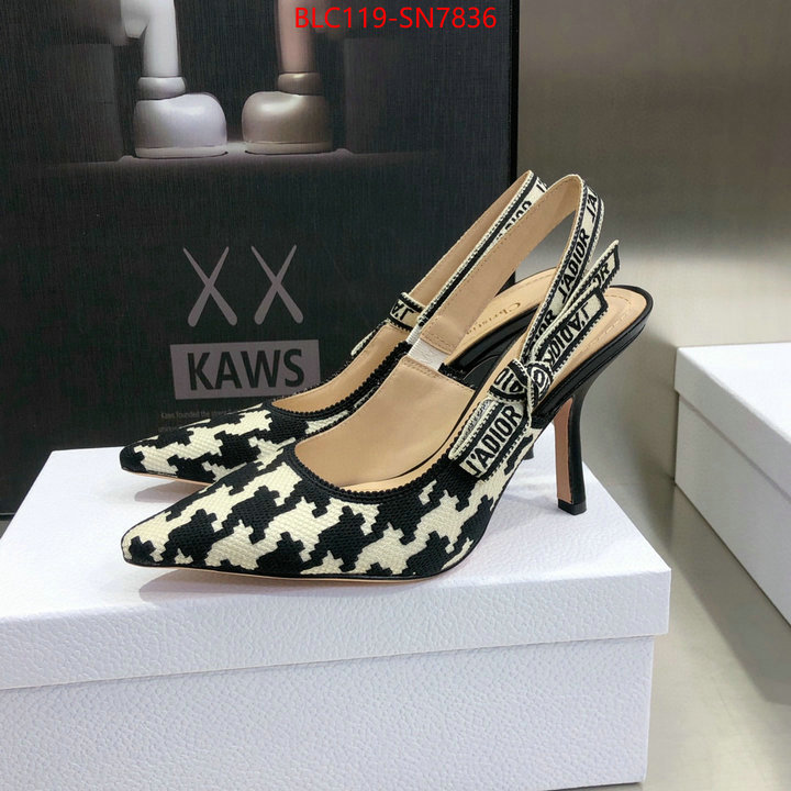 Women Shoes-Dior,what's the best to buy replica , ID: SN7836,$: 119USD