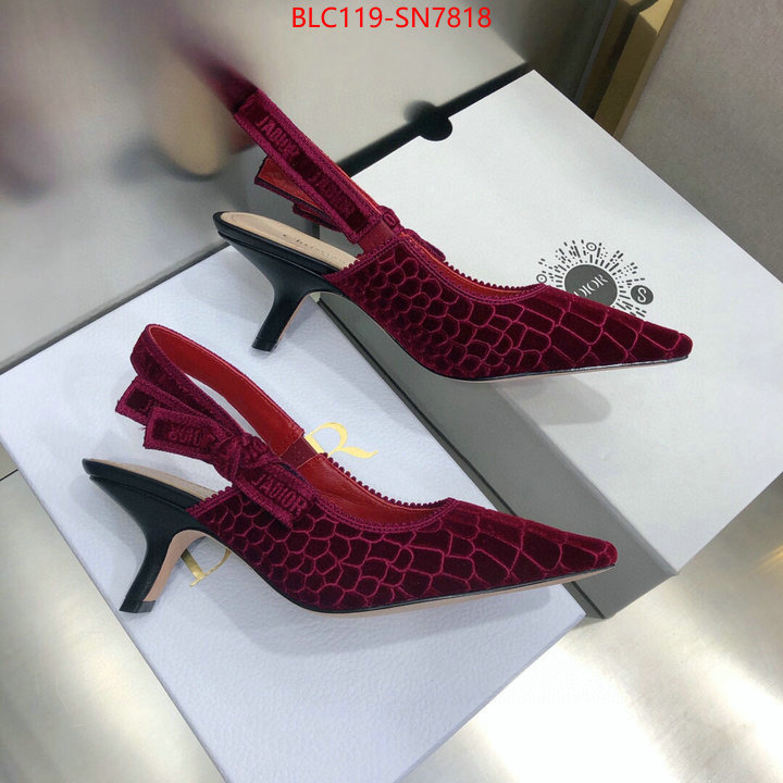 Women Shoes-Dior,aaaaa+ quality replica , ID: SN7818,$: 119USD