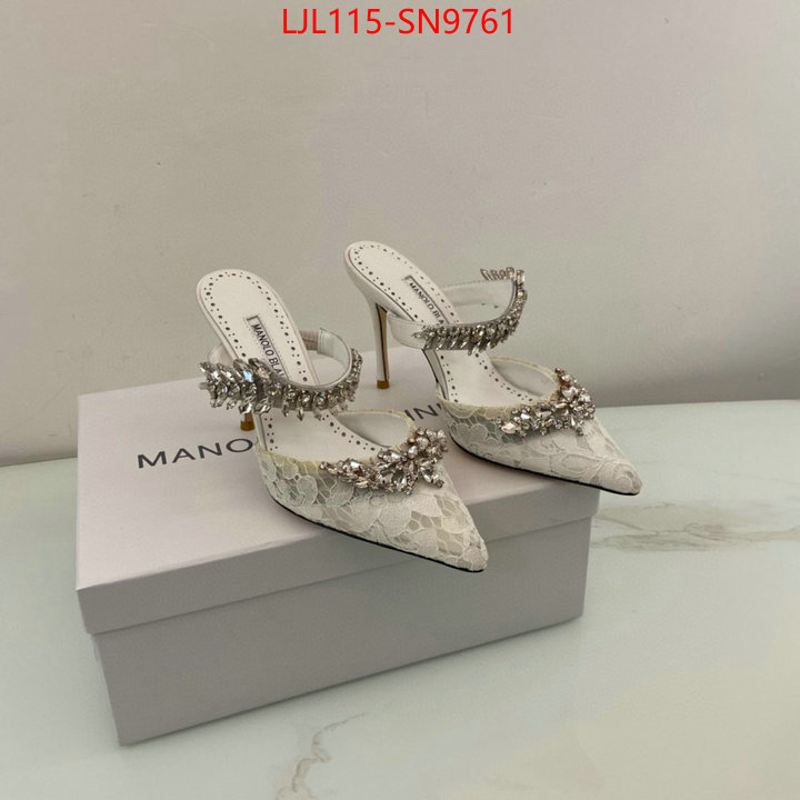 Women Shoes-Manolo Blahnik,where to buy the best replica ,replica us , ID: SN9761,$: 115USD