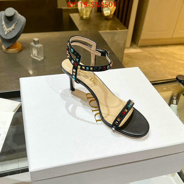 Women Shoes-Dior,new 2023 , ID: SN8507,$: 119USD