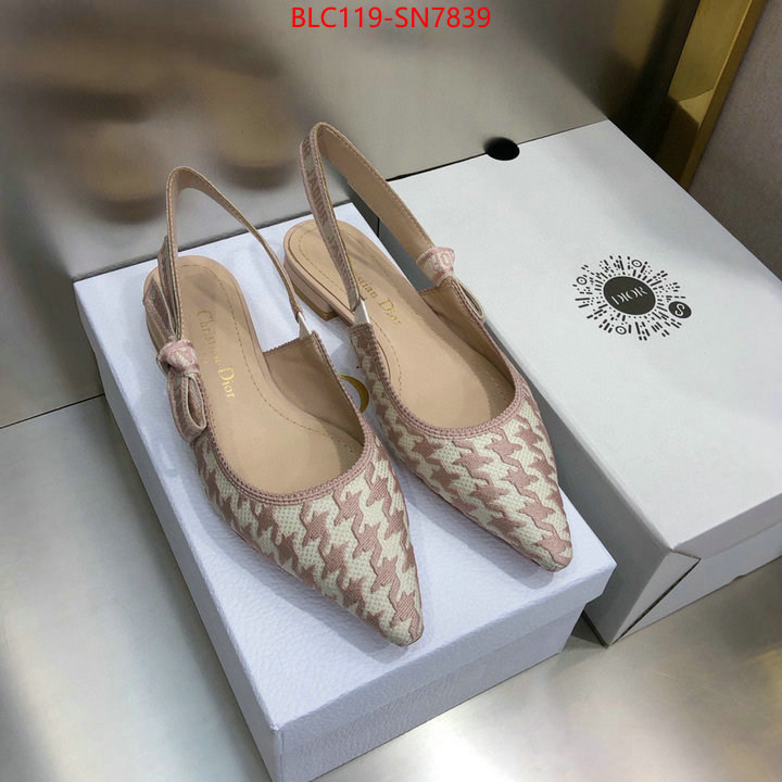 Women Shoes-Dior,how to start selling replica , ID: SN7839,$: 119USD