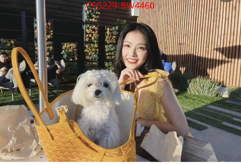 Goyard Bags(TOP)-Handbag-,ID: BW4460,$: 229USD