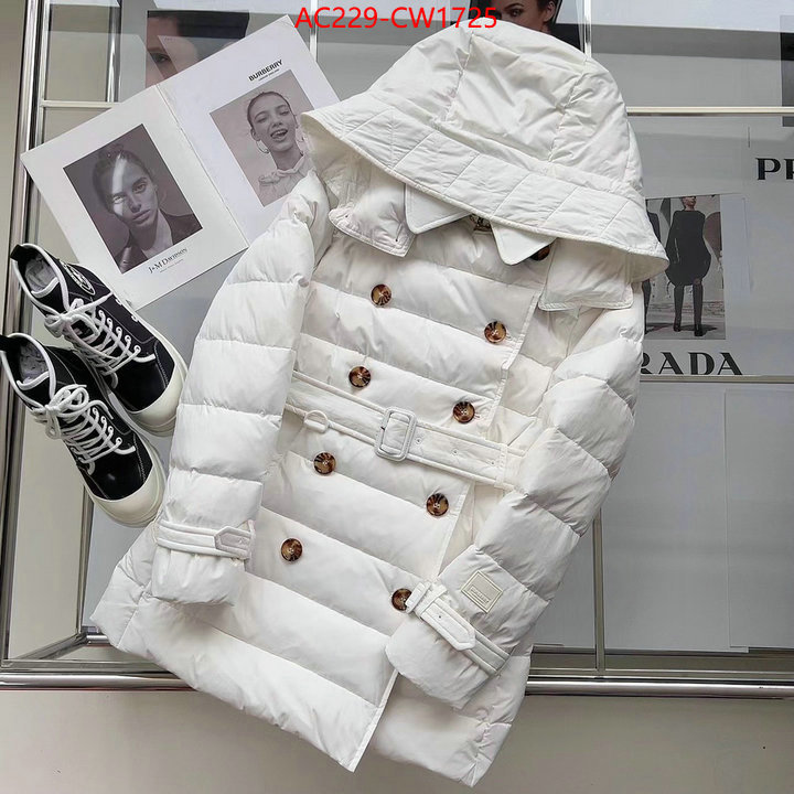 Down jacket Women-Burberry,how to start selling replica , ID: CW1725,$: 229USD