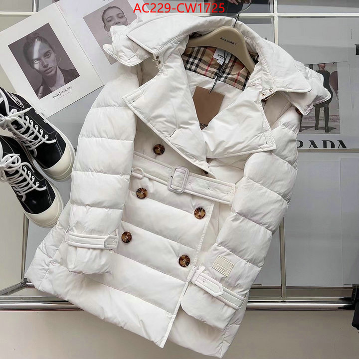 Down jacket Women-Burberry,how to start selling replica , ID: CW1725,$: 229USD