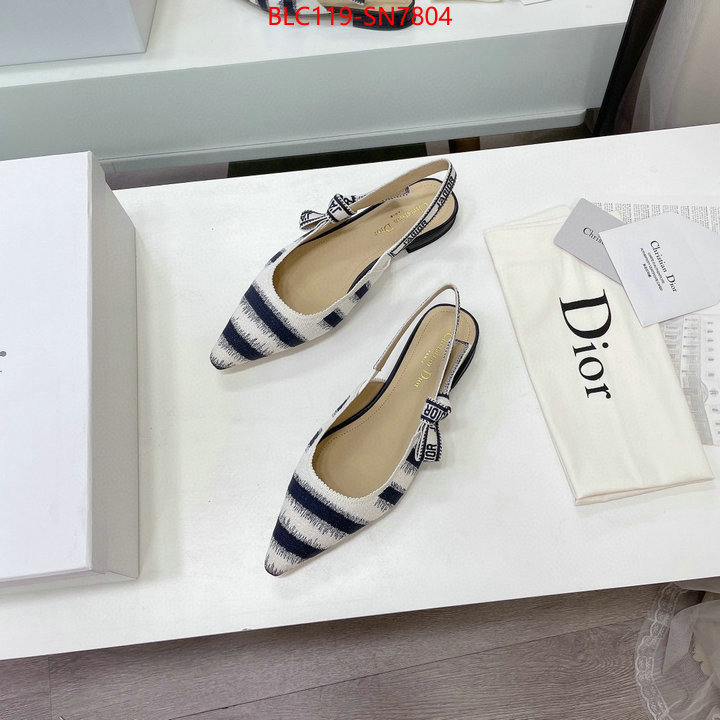 Women Shoes-Dior,wholesale designer shop , ID: SN7804,$: 119USD