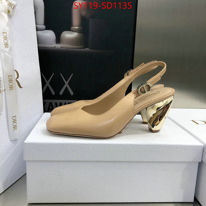 Women Shoes-Dior,customize the best replica , ID: SD1135,$: 119USD