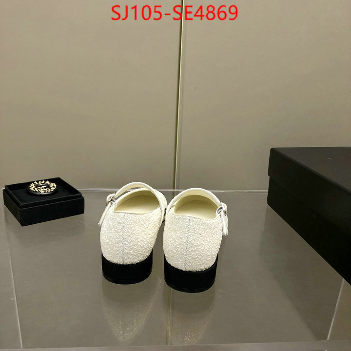 Women Shoes-Chanel,aaaaa quality replica , ID: SE4869,$: 105USD