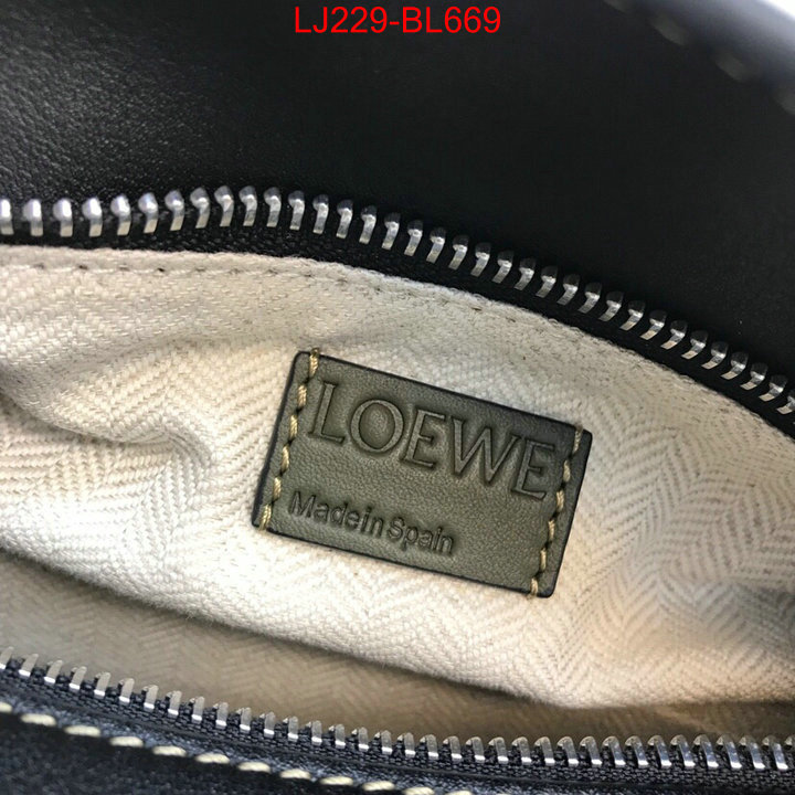 Loewe Bags(TOP)-Puzzle-,can i buy replica ,ID: BL669,$:229USD