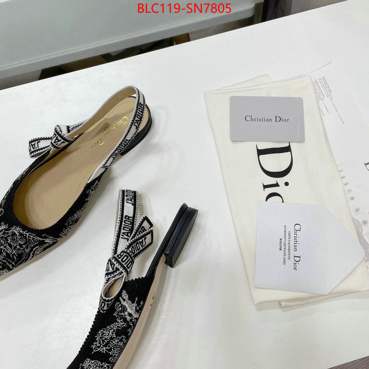 Women Shoes-Dior,the top ultimate knockoff , ID: SN7805,$: 119USD