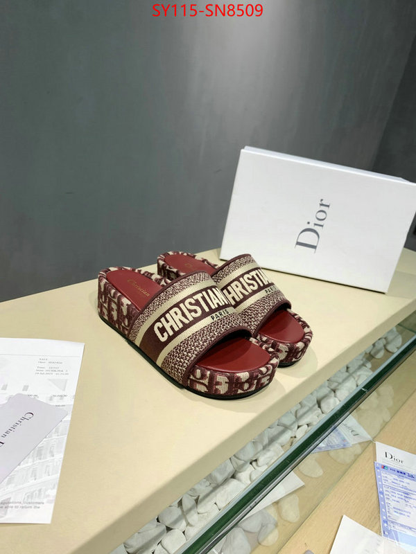 Women Shoes-Dior,sell online , ID: SN8509,$: 115USD