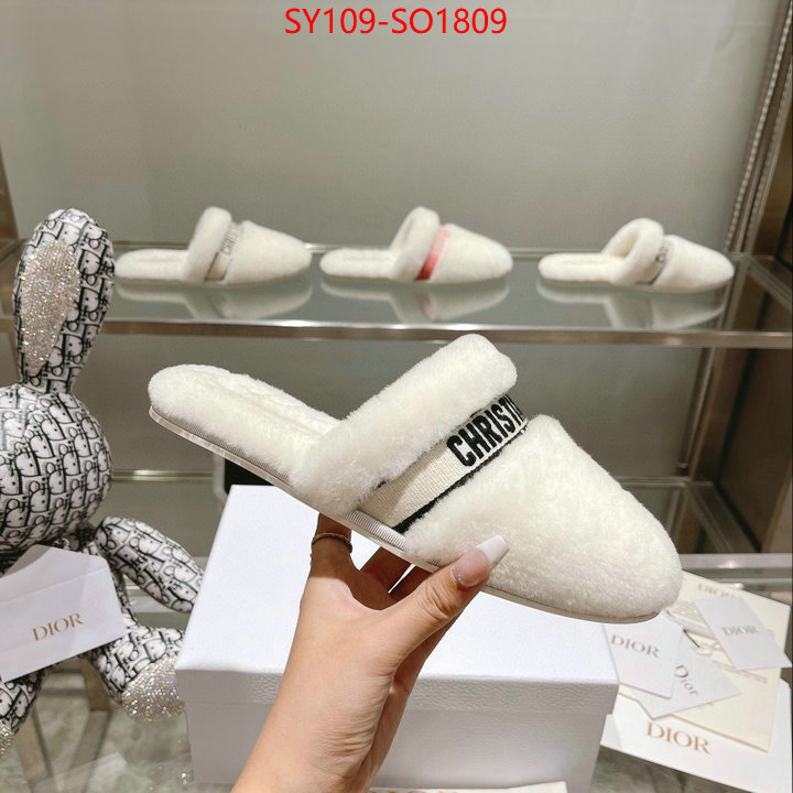 Women Shoes-Dior,how can i find replica , ID: SO1809,$: 109USD