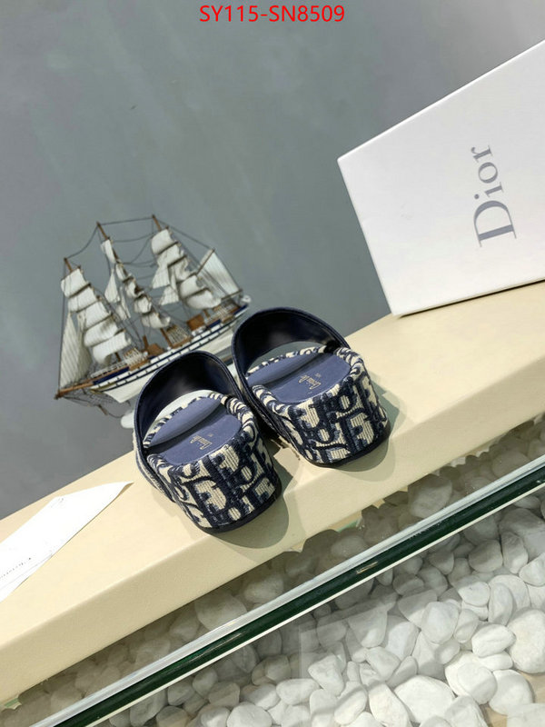 Women Shoes-Dior,sell online , ID: SN8509,$: 115USD