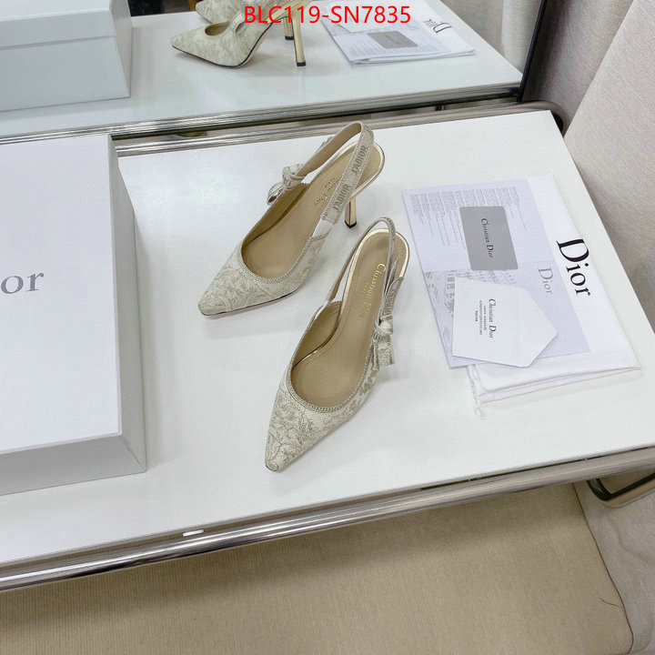 Women Shoes-Dior,styles & where to buy , ID: SN7835,$: 119USD