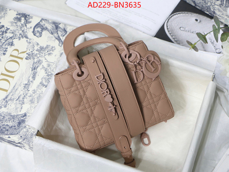 Dior Bags(TOP)-Lady-,ID: BN3635,$: 229USD