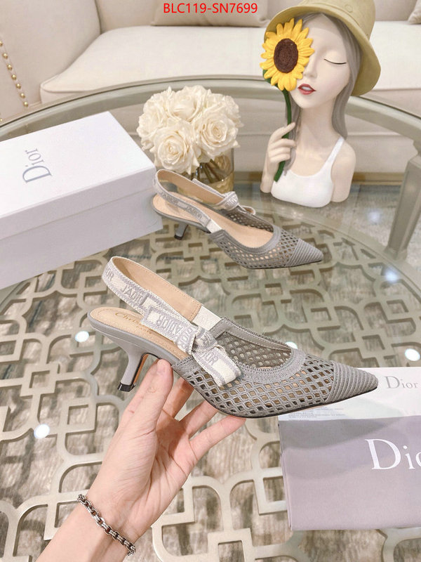 Women Shoes-Dior,buy replica , ID: SN7699,$: 119USD