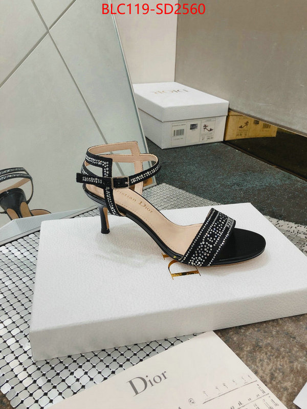 Women Shoes-Dior,replica 2023 perfect luxury , ID: SD2560,$: 119USD